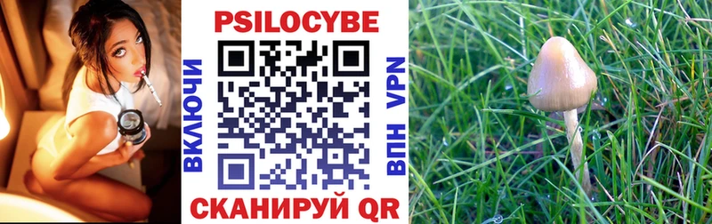 Купить закладки  Еманжелинск  Псилоцибиновые грибы мухоморы 